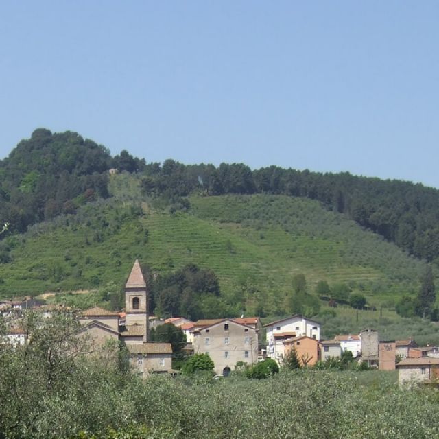 Trascorri una vacanza nel verde delle colline. Nel verde a due passi dalla citt&agrave;